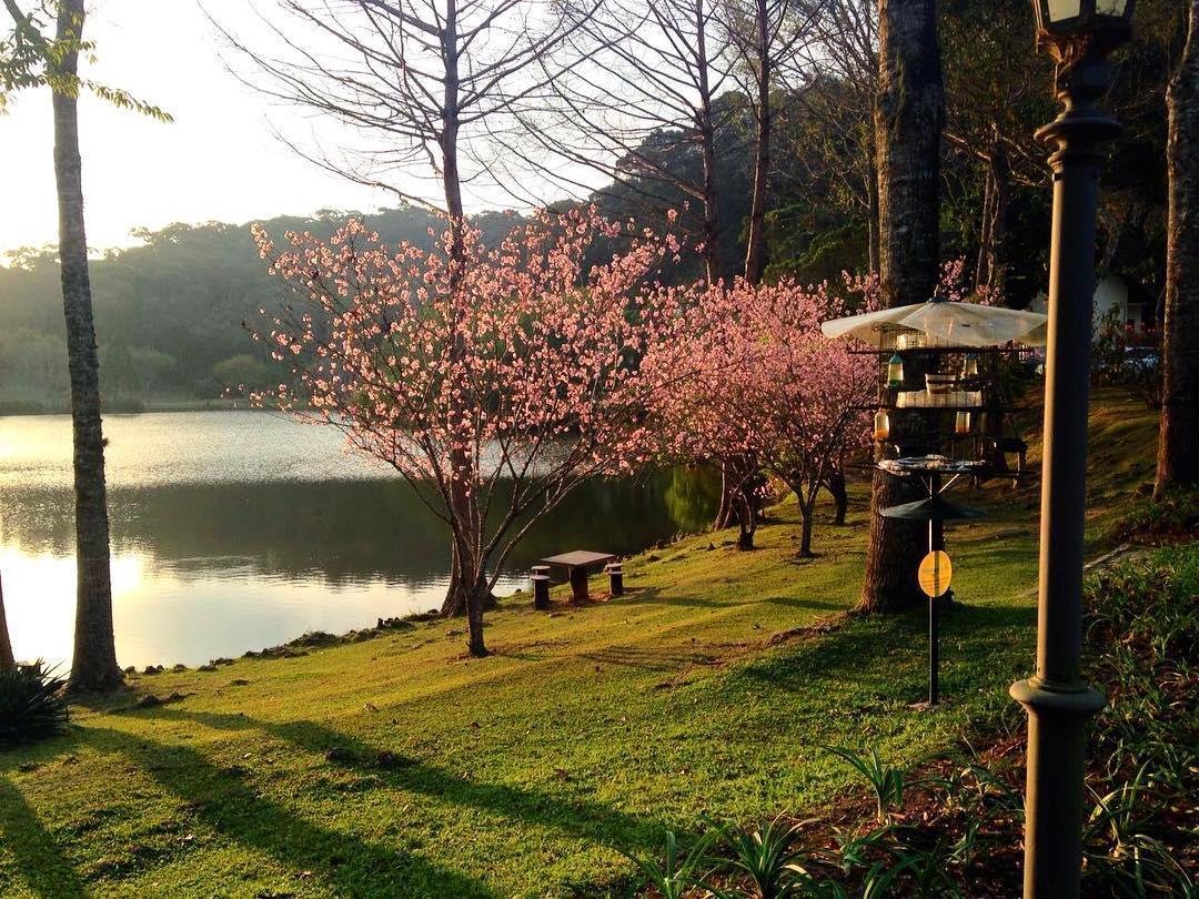 Hotel Fazenda Monte Verde Golf & Resort Vargem Alta Exterior photo